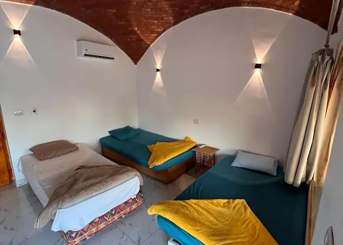 Full Moon Camp Sinai *